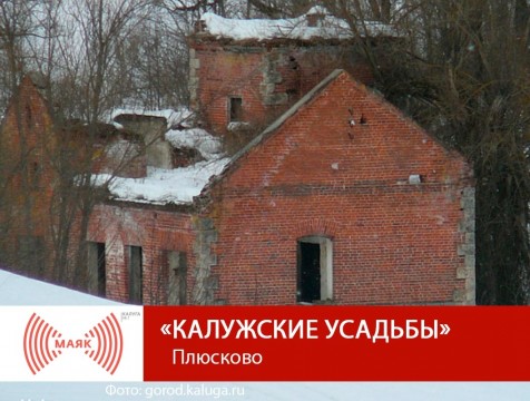 Калужские усадьбы. Плюсково