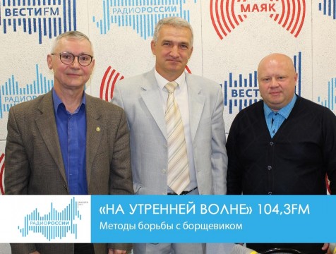 На утренней волне. Методы борьбы с борщевиком