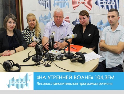 На утренней волне. Лесовосстановительная программа региона
