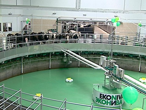 Новый животноводческий комплекс в Медынском районе открыла компания «Калужская нива»
