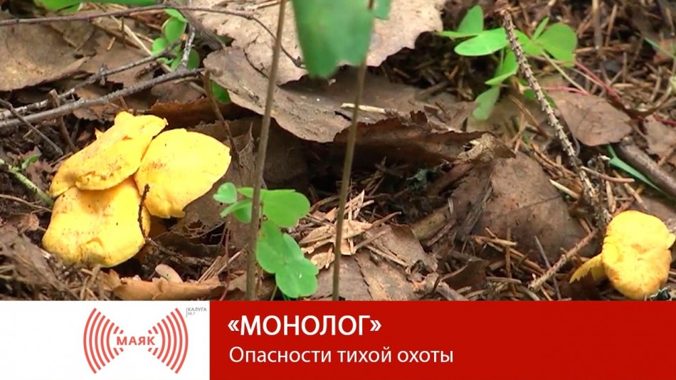 !--МАЯКМонолог.jpg