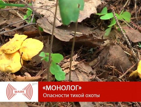 Монолог. Опасности тихой охоты
