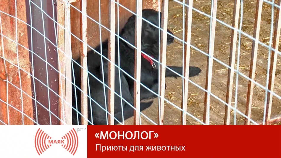 0827-МАЯК-М.jpg
