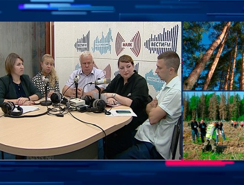 Интервью. Тема: Лесовосстановление