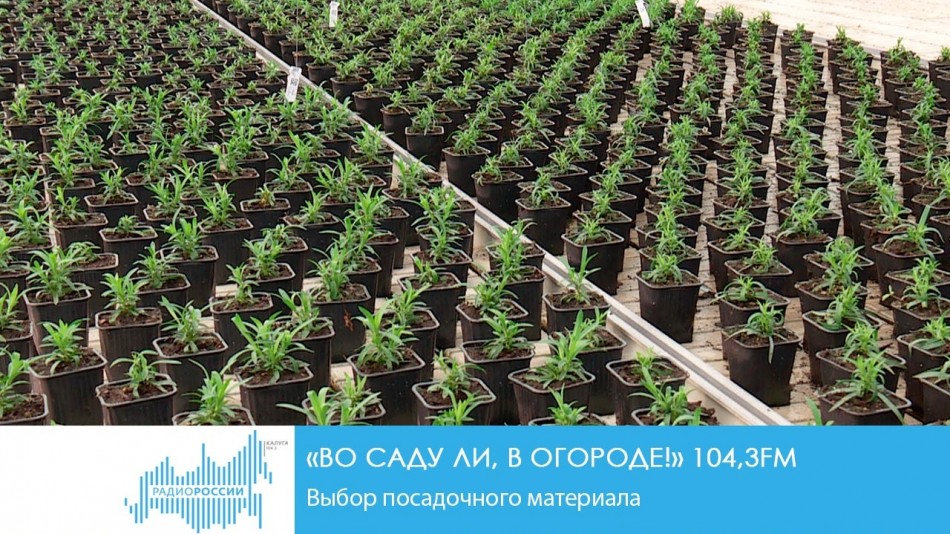 !-РадиоОС.jpg