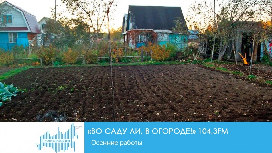 0926-Радио-Сад.jpg