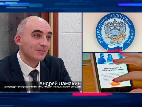 Интервью с А. Ламакиным. Тема: Налоговый контроль
