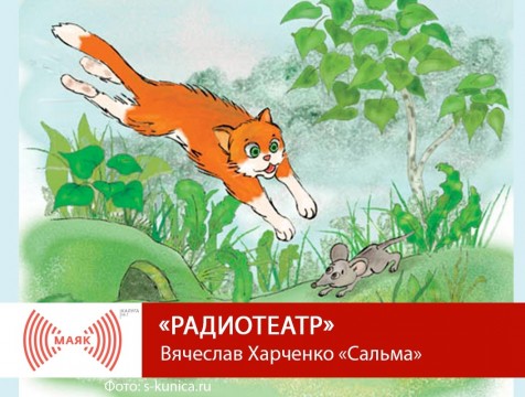 Радиотеатр. Вячеслав Харченко «Сальма»
