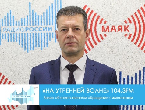 На утренней волне. Закон об ответственном обращении с животными