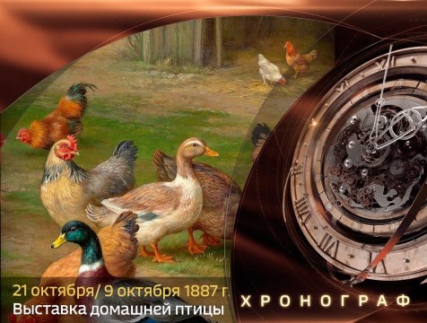 Хронограф. Выставка домашней птицы