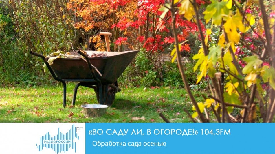 !-РадиоСад.jpg