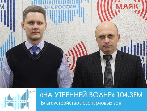 На утренней волне. Благоустройство лесопарковых зон