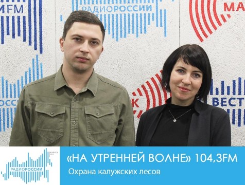 На утренней волне. Охрана калужских лесов