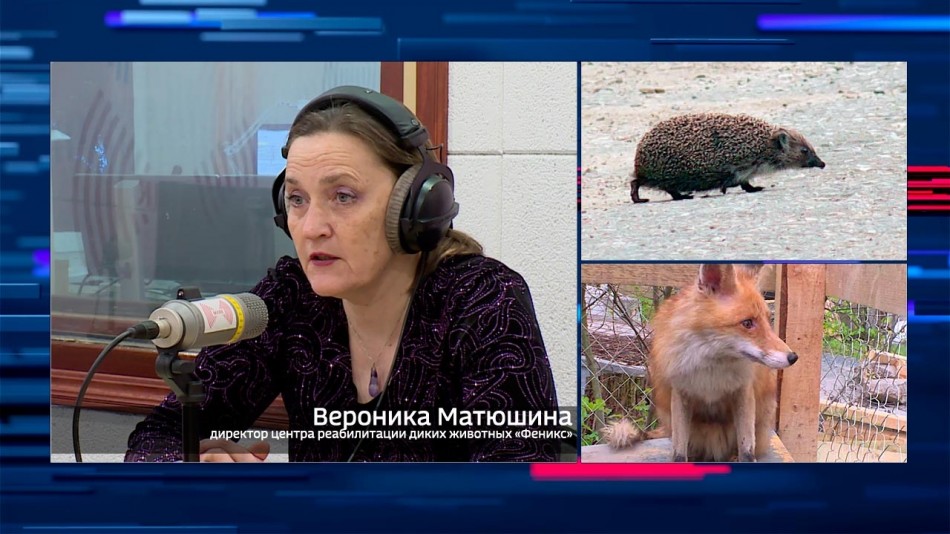 0113-Интервью.jpg