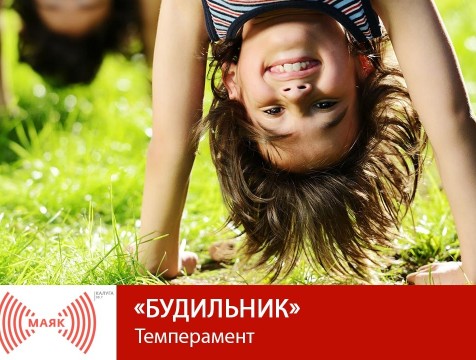 Будильник. Темперамент