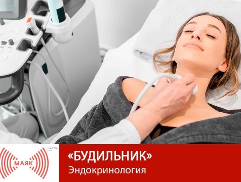Будильник. Эндокринология