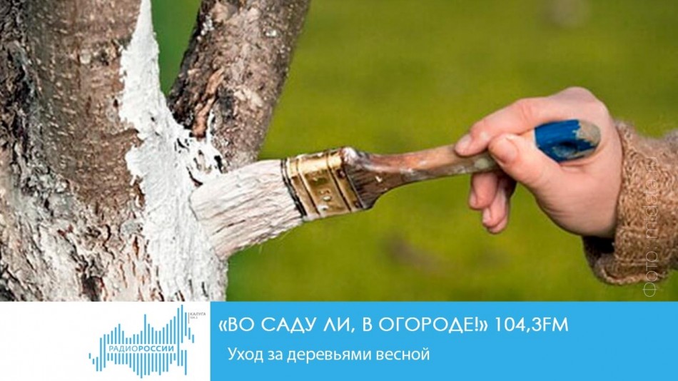 !-Радио-2019.jpgСадОгород.jpg