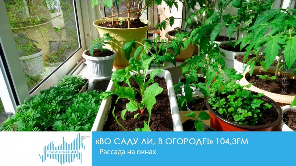 _-Радио-2020-Сидим-дома-восстановленоОС.jpg