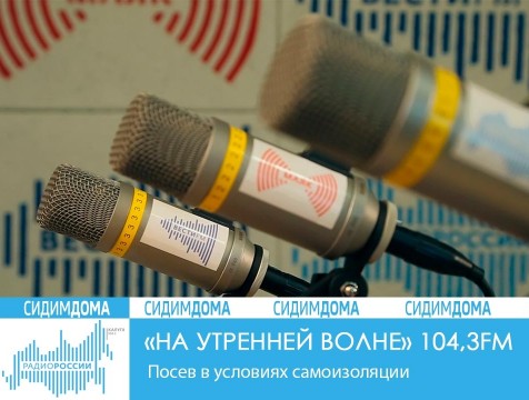 На утренней волне. Посев в условиях самоизоляции
