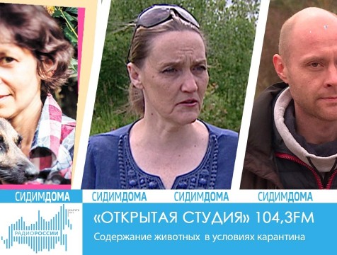 Открытая студия.  Содержание животных  в условиях карантина