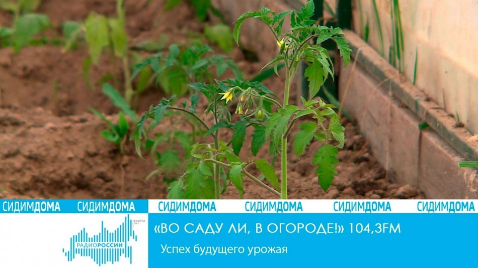 Вчсич.jpg