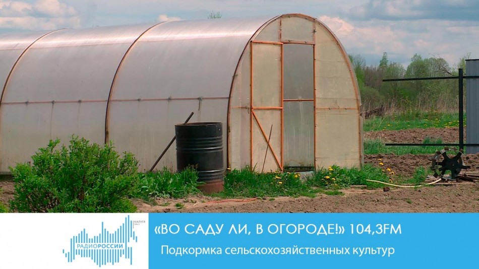 0528-Радио-Сад.jpg