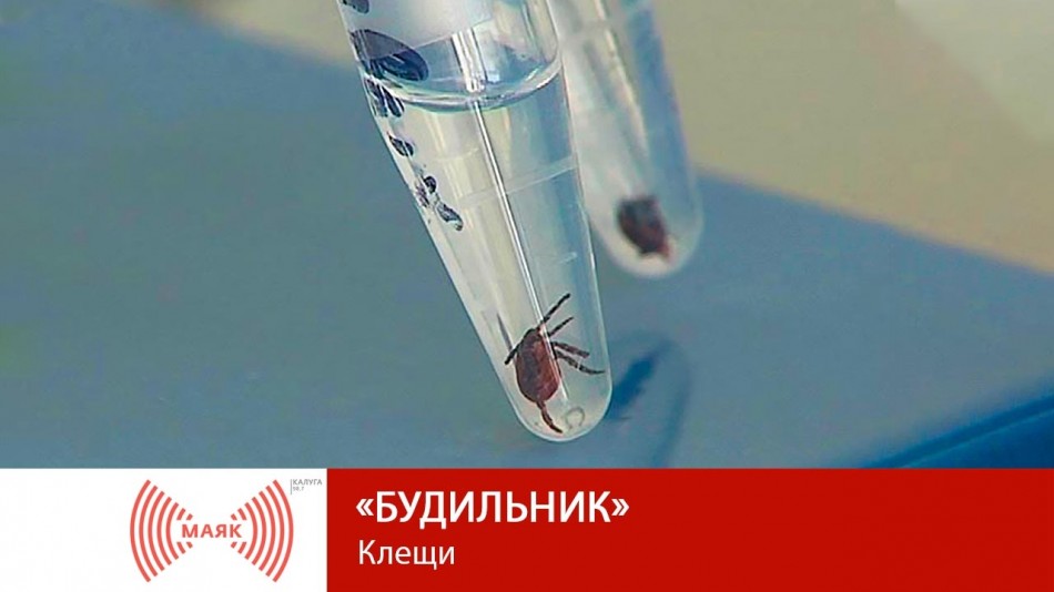 0616-МАЯК-Б.jpg