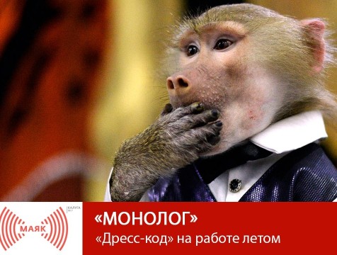 Монолог. «Дресс-код» на работе летом