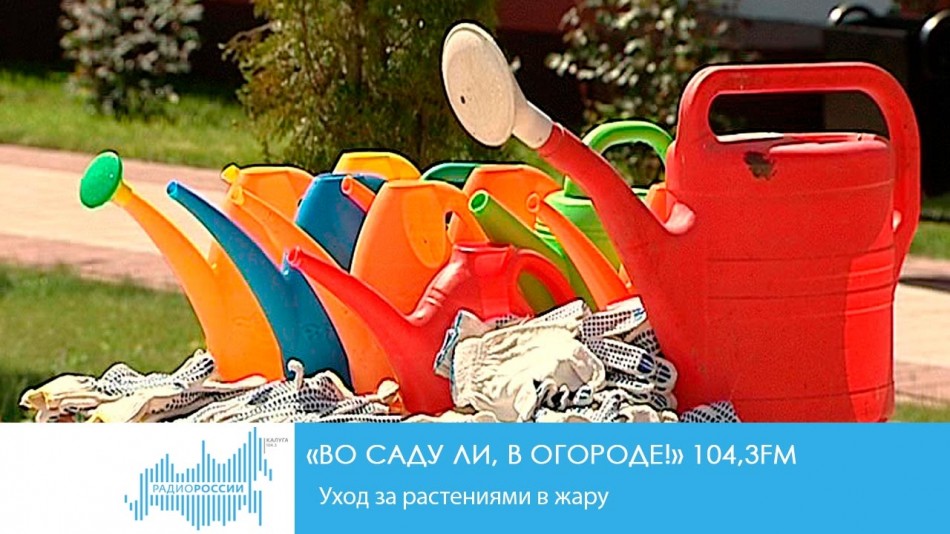 0626-Радио-Сад.jpg