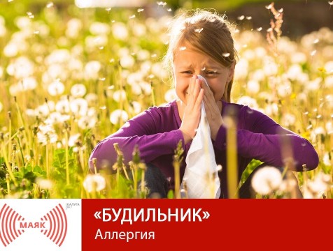 Будильник. Аллергия