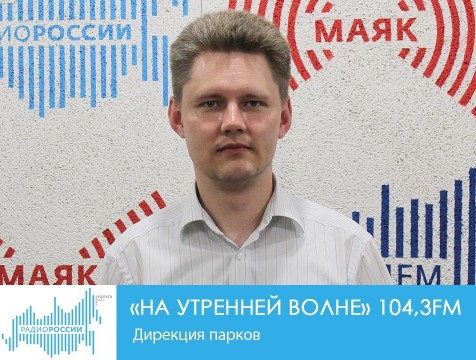 На утренней волне. Дирекция парков