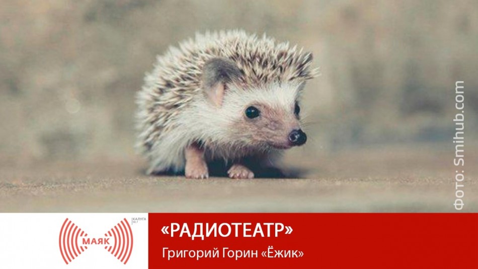 070912!-МАЯК-2019.jpg