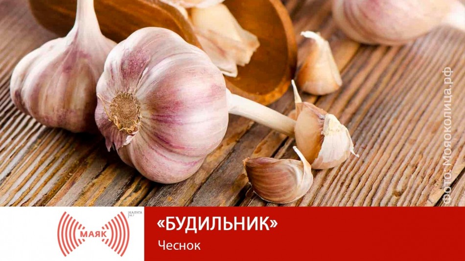0721-МАЯК-2019.jpg