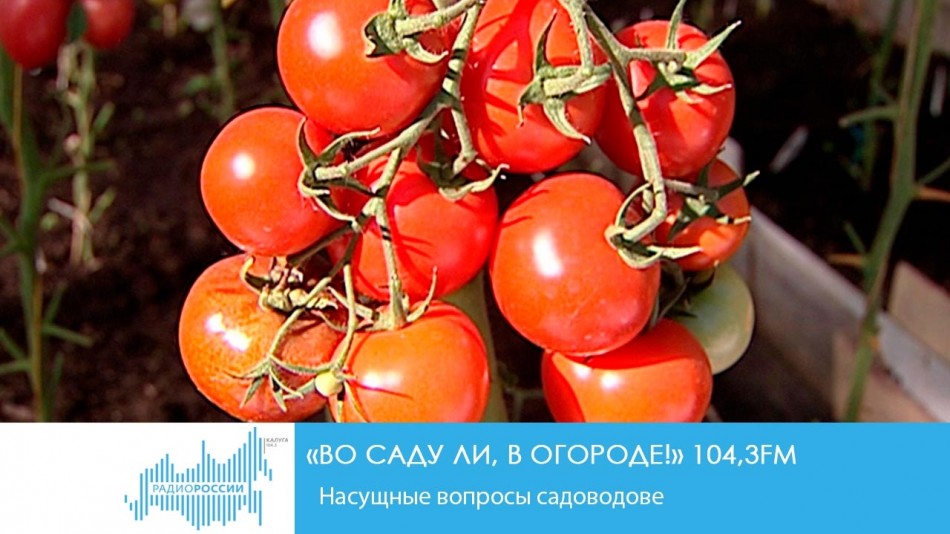 0812-Радио-Cad.jpg