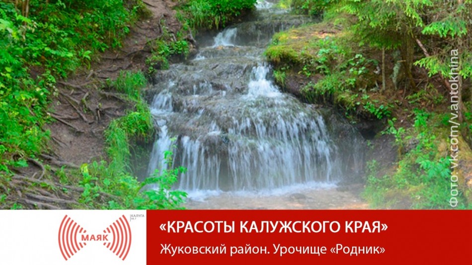 !-МАЯК-2019.jpg