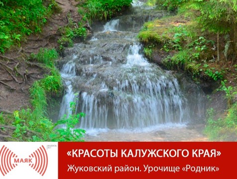 Красоты Калужского края. Жуковский район. Урочище «Родник»