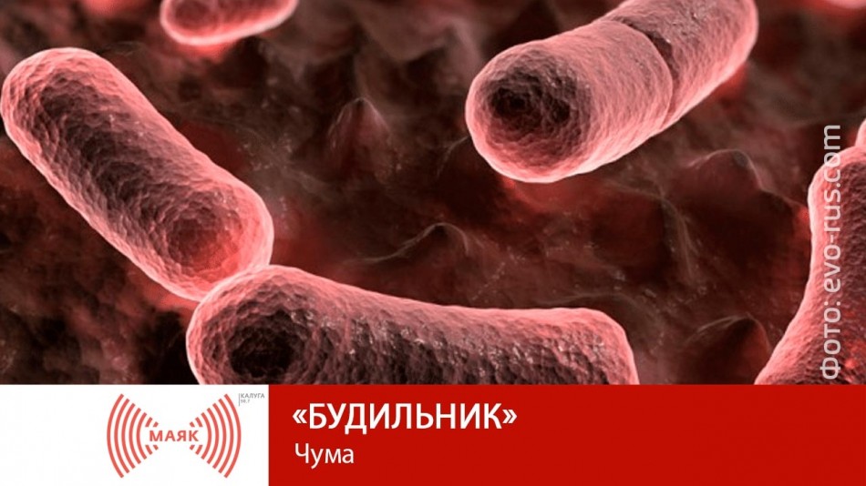 0929-МАЯК-Б.jpg