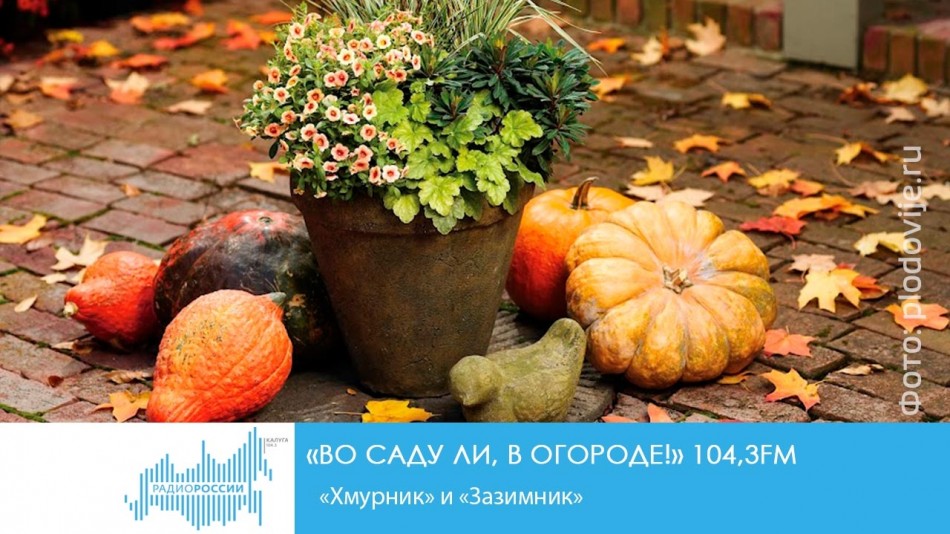 !-Радио-2019.jpg