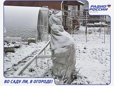 Во саду ли, в огороде! Эфир от 17.11.2016