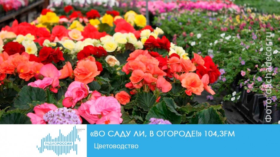 !-Радио-2019.jpg
