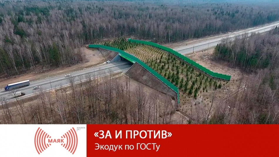 1119-МАЯК-ЗиП.jpg