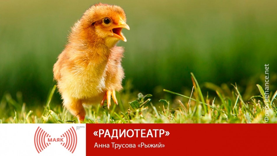 !-МАЯК-2019-восстановлено-восстановлено.jpg