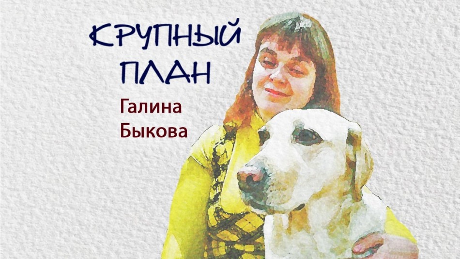 1128-Радио-КП.jpg