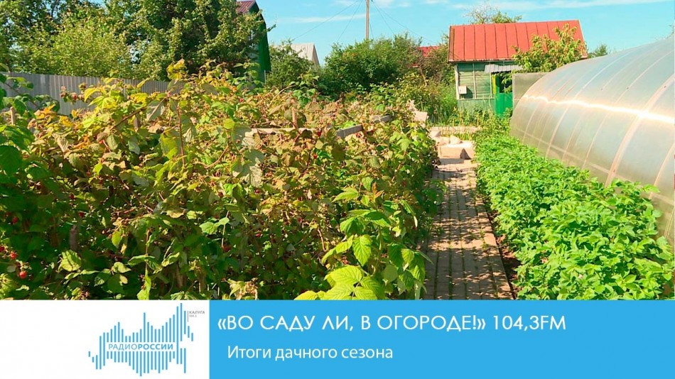 !-Радио-2019.jpg