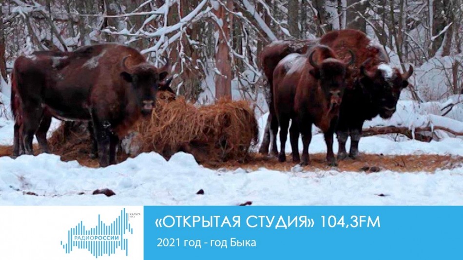 !-Радио-2019-восстановлено-восстановлено.jpg