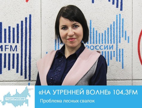 На утренней волне. Проблема лесных свалок