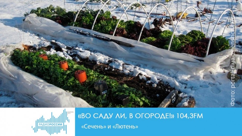 !-Радио-2019-восстановлено.jpg