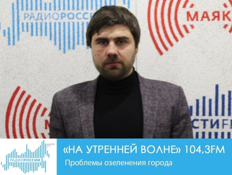 На утренней волне. Проблемы озеленения города