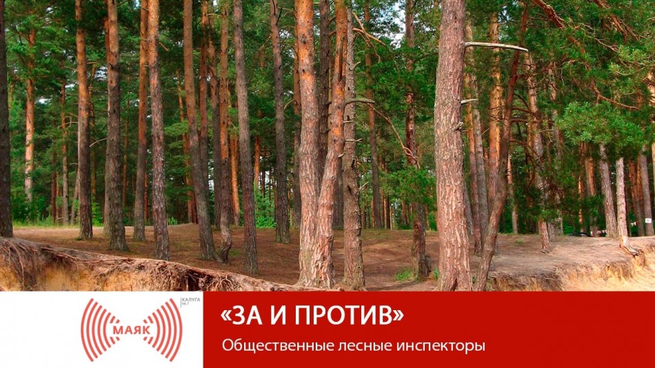 !-МАЯК-2019.jpg