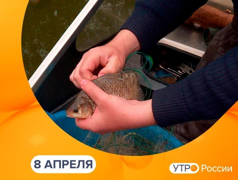 Утро России. Калуга (08.04.2021)